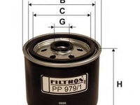 Filtru combustibil HYUNDAI ACCENT II limuzina (LC) (1999 - 2016) FILTRON PP979/1