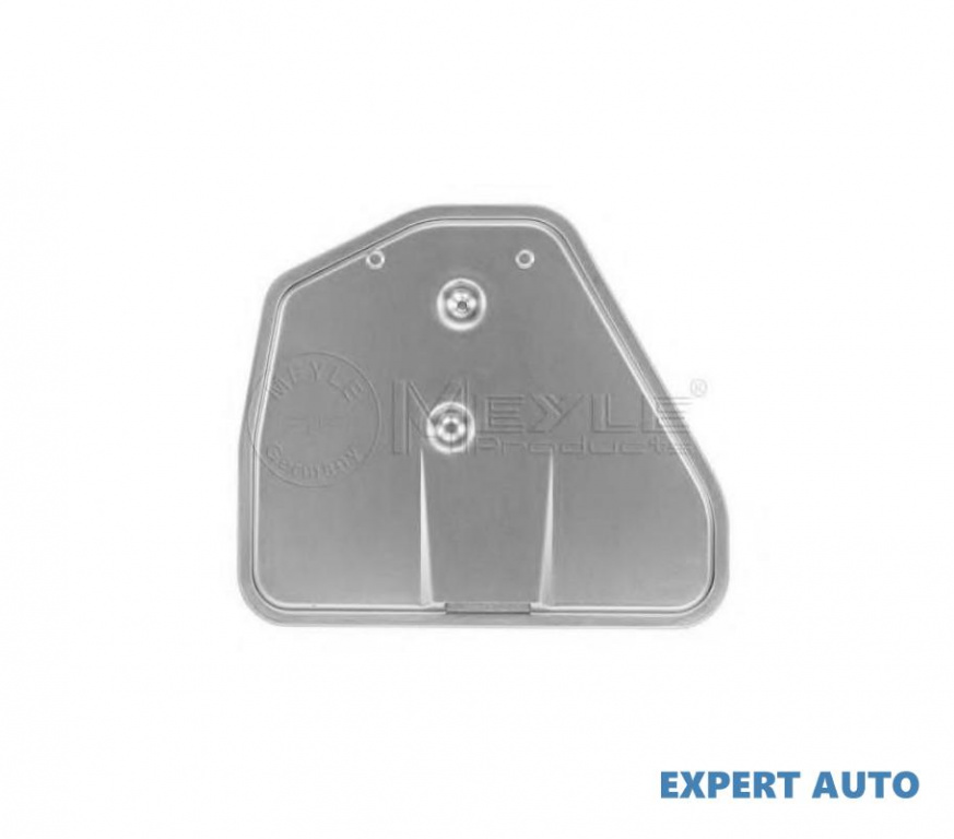 Filtru cutie automata Audi AUDI A6 (4F2, C6) 2004-2011 #2 09L325429