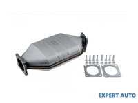 Filtru de particule BMW X5 (1999-2006) [E53] #1 18303452042