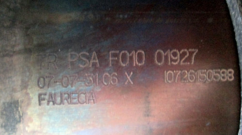 Filtru particule Citroen C4 Grand Picasso 1.6 HDI automat: F01001927