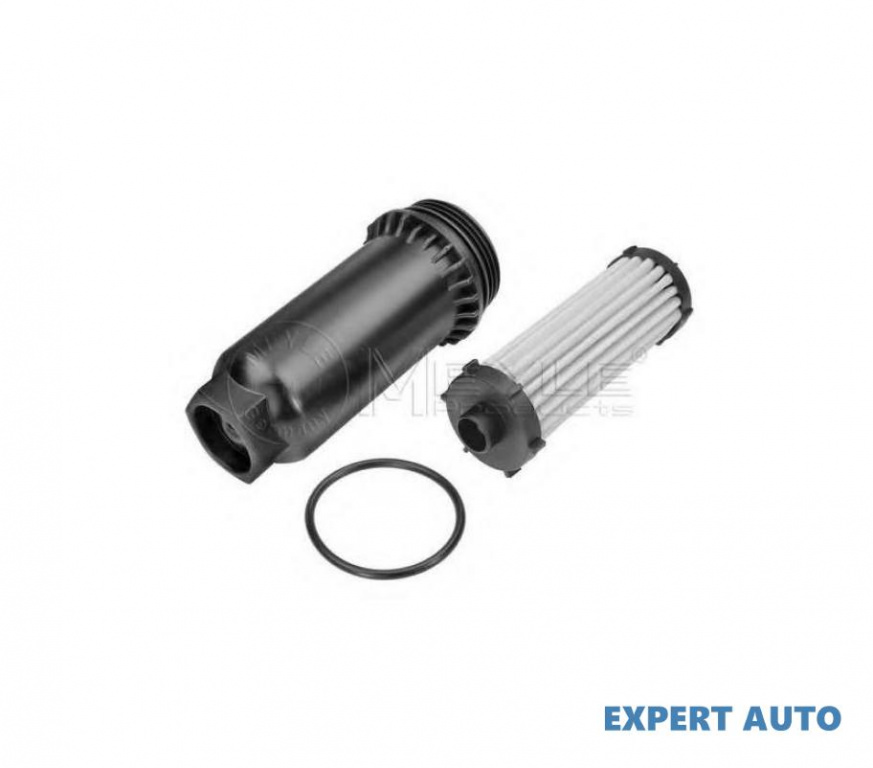 Filtru transmisie automata Ford FUSION (JU_) 2002-2012 #2 1589089