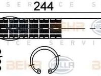 Filtru Uscator Aer Conditionat BMW X6 E71 E72 HELLA 8FT 351 192-761