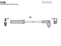 Fise bujii DACIA DOKKER Express TESLA TES T930B