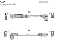 Fise bujii SEAT IBIZA II 6K1 TESLA TES T646C