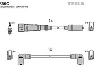 Fise bujii SEAT IBIZA II 6K1 TESLA TES T650C