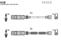 Fise bujii SMART CABRIO 450 TESLA TES T092B