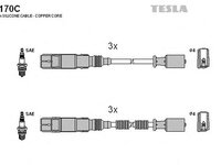 Fise bujii SMART ROADSTER 452 TESLA TES T170C