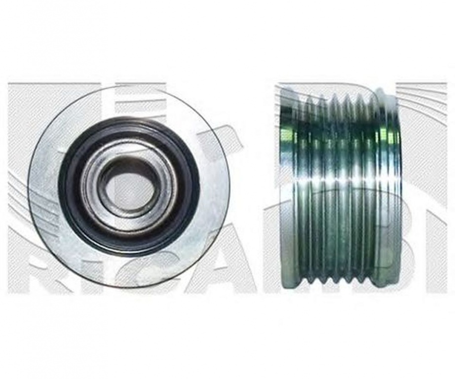 Fulie alternator CITROEN JUMPY platou sasiu BU BV BW BX CALIBER 88060