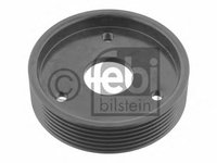 Fulie, pompa servo RENAULT KANGOO (KC0/1) (1997 - 2007) FEBI BILSTEIN 29501 piesa NOUA