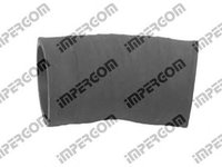 Furtun aer SEAT TOLEDO III 5P2 IMPERGOM 221929