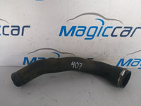 Furtun aer supraalimentare Peugeot 407 Motorina