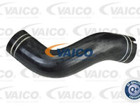 Furtun aer supraalimentare V24-0695 VAICO pentru Fiat Doblo