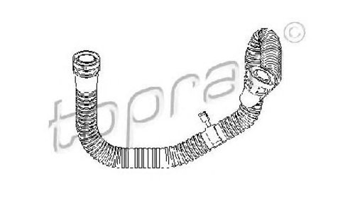 Furtun, aerisire chiulasa SEAT EXEO ST ( 3R5 