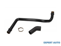 Furtun, aerisire chiulasa Volkswagen VW SHARAN (7M8, 7M9, 7M6) 1995-2010 #2 037103211A