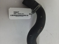 FURTUN APA Dacia SANDERO 2021 215038971R