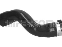 Furtun ear supraalimentare (224741 IMP) DACIA,RENAULT