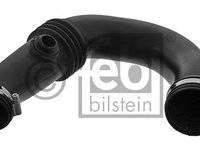 Furtun ear supraalimentare RENAULT CLIO Mk II (BB0/1/2_, CB0/1/2_) (1998 - 2016) Febi Bilstein 45375