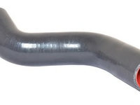 Furtun ear supraalimentare RENAULT MEGANE III hatchback (BZ0_) (2008 - 2016) BUGIAD 88764