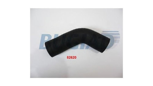 Furtun ear supraalimentare Skoda FABIA Combi 