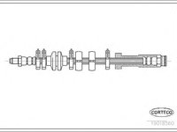 Furtun frana FIAT PUNTO Cabriolet 176C CORTECO 19018560