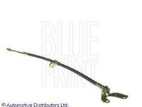 Furtun frana HONDA INSIGHT (ZE) - BLUE PRINT ADH253120