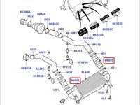 Furtun intercooler Ford Focus 1.8 TDCI