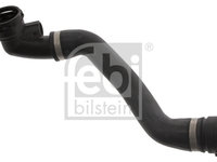 Furtun radiator inferior dreapta (45815 FEBI BILSTEIN) BMW