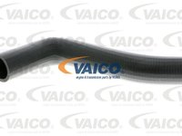 Furtun radiator SEAT LEON 1M1 VAICO V103914