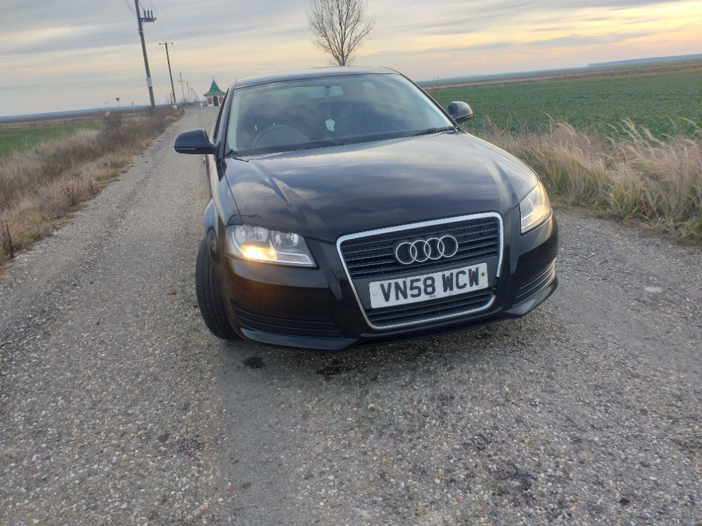 Furtun turbo Audi A3 8P 2010 hatchback 1.9 TDI