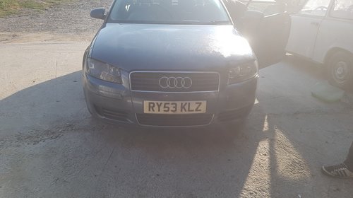 Galerie admisie Audi A3 8P 2006 HATCHBACK 2.0