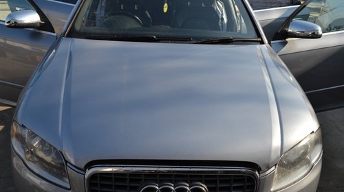 Galerie admisie Audi A4 B7 2006 LIMUZINA 2.0