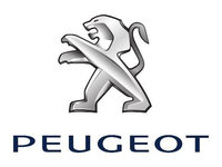 GALERIE ADMISIE PEUGEOT 307 2006