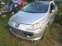 Galerie admisie Peugeot 307 cc 2007 Coupe cabrio 2.0