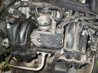 Galerie admisie VW Polo 6N2 cod motor AUC