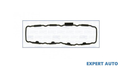 Garnitura capac culbutori Renault TRAFIC II p