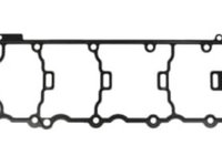 Garnitura capac supape AUDI A1, A3, SEAT ALTEA, ALTEA XL, IBIZA IV, IBIZA IV SC, IBIZA IV ST, LEON, TOLEDO IV, SKODA FABIA II, OCTAVIA II, RAPID, ROOMSTER, ROOMSTER PRAKTIK 1.2/1.2LPG 11.08-