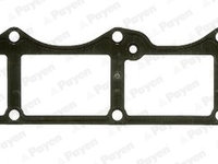 Garnitura, capac supape (JM7203 PAYEN) FIAT,LANCIA,ZOTYE