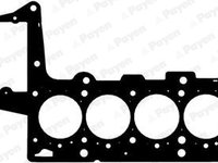 Garnitura, chiulasa (AC5431 PAYEN) BMW,LAND ROVER