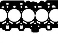 Garnitura chiulasa BMW X1 (E84) (2009 - 2015) ELRING 005.510