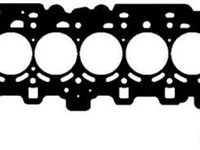 Garnitura chiulasa BMW X3 F25 PAYEN AH6210