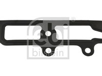 Garnitura flansa lichid racire 49691 FEBI BILSTEIN pentru Vw Golf Skoda Superb Volvo S80 Nissan Dualis Nissan Qashqai Skoda Favorit Vw Caravelle Vw Transporter Vw Vanagon Vw Cc Vw Passat Vw Beetle Vw Novo Vw Derby Vw Flight Vw Polo Volvo V70 Man F Ma