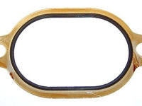 Garnitura flansa lichid racire 680 271 ELRING pentru Bmw Seria 6 Volvo S80 Mercedes-benz O Mercedes-benz Tourismo Mercedes-benz Axor Mercedes-benz Travego Mercedes-benz Citaro Mercedes-benz Conecto Mercedes-benz Sk Mercedes-benz Touro