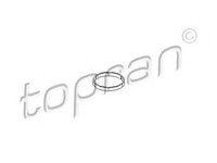 Garnitura, galerie admisie AUDI A3 (8P1) (2003 - 2012) TOPRAN 109 374