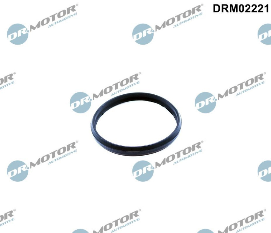 Garnitura, Intinzator lant de distributie Dr.Motor