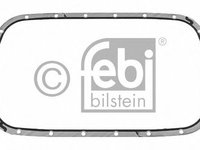 Garnitura, lumina numar inmatriculare BMW X5 (E53) (2000 - 2006) FEBI BILSTEIN 27063