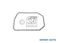 Garnitura numar inmatriculare BMW X5 (E53) 2000-2006 #2 0825014