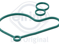 Garnitura, pompa combustibil (695710 ELR) AUDI,FORD,SEAT,SKODA,VW,VW (FAW)