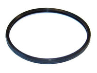 Garnitura termostat 729 170 ELRING pentru Bmw Seria 5 Nissan Primera Vw Transporter Bmw Seria 3 Volvo Fm Volvo Fh Volvo 9900 Volvo 9700 Volvo Fmx