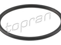 Garnitura termostat AUDI A3 (8P1) (2003 - 2012) TOPRAN 113 458