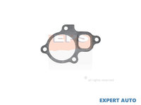 Garnitura termostat Nissan X-TRAIL (T30) 2001-2007 #2 110626N200